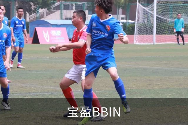 宝盈BBIN公司简介图片
